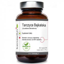 Kenay Tarczyca Bajkalska...