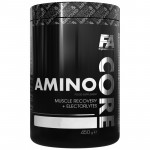 FA Core Amino 450g