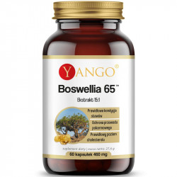 YANGO Boswellia 65 60caps
