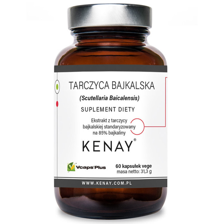 Tarczyca Bajkalska 60 kapsułek od Kenay – ekstrakt z tarczycy bajkalskiej standaryzowany na 85% bajkaliny!