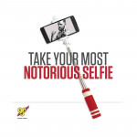 BSN Selfie Stick Red Silver
